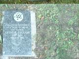 image of grave number 301217